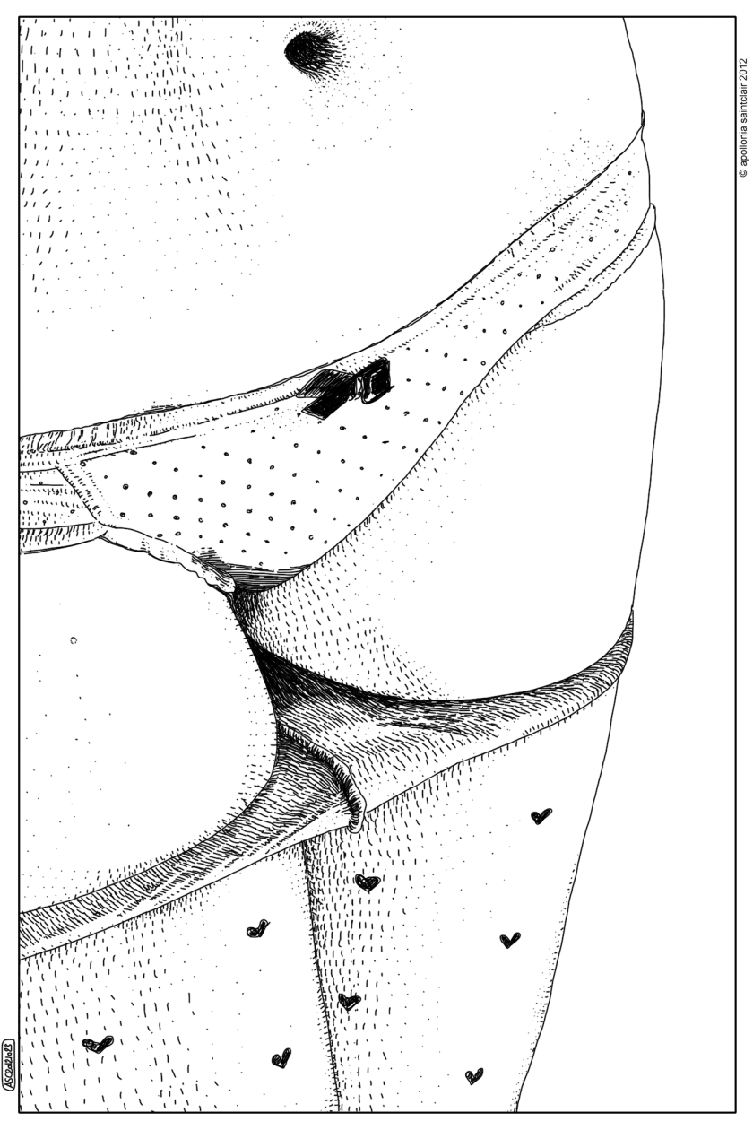 20121023_l'image volée (Schöne Seele II)_©
