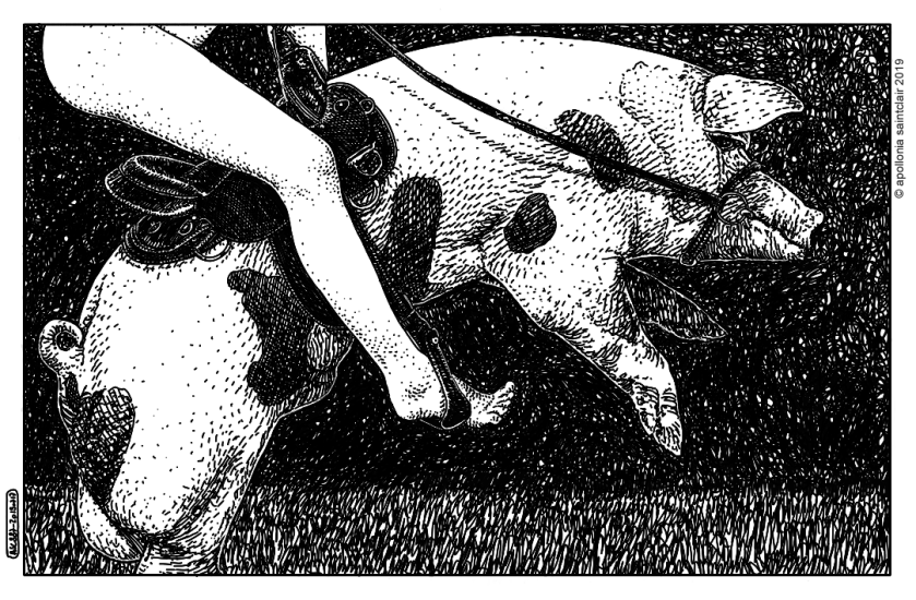 20190717_asc 887_inrocks_porc_©