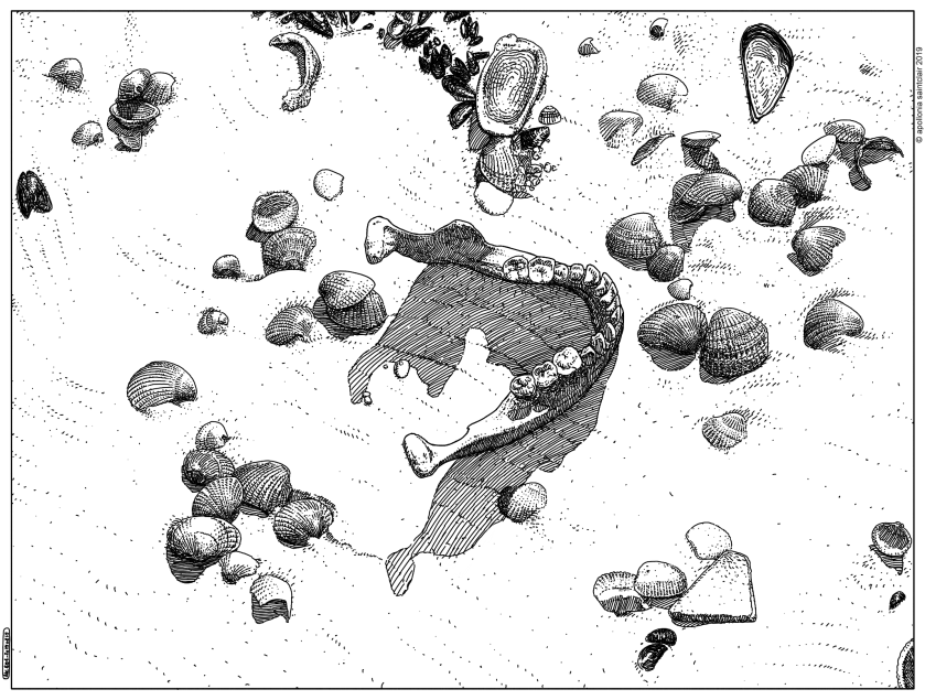 20190819_asc 894_Les dents de la mer (Burial at sea)_©