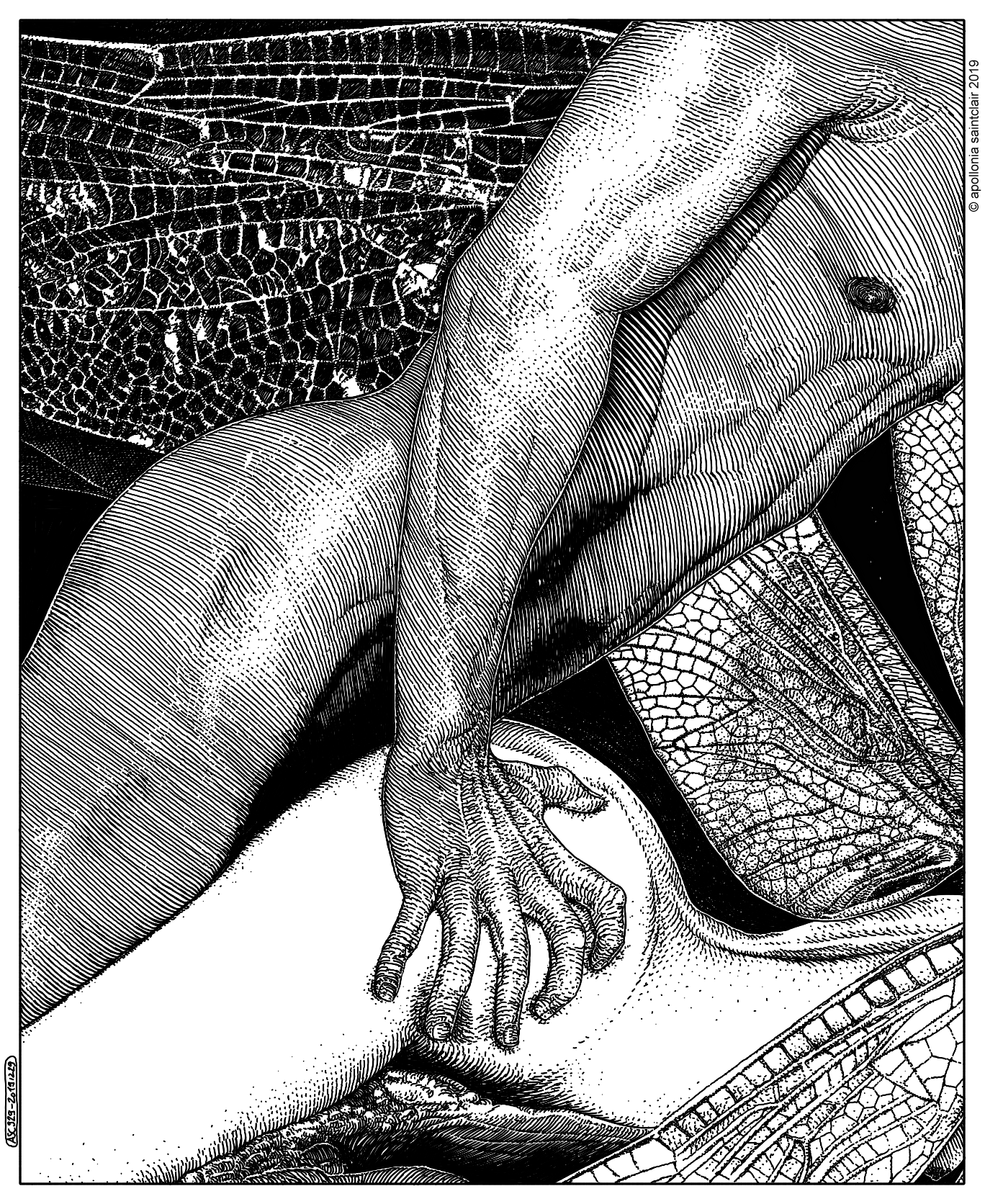 20191229_asc 929_Le démon de l'étrange (Dragonflies dreams)_©