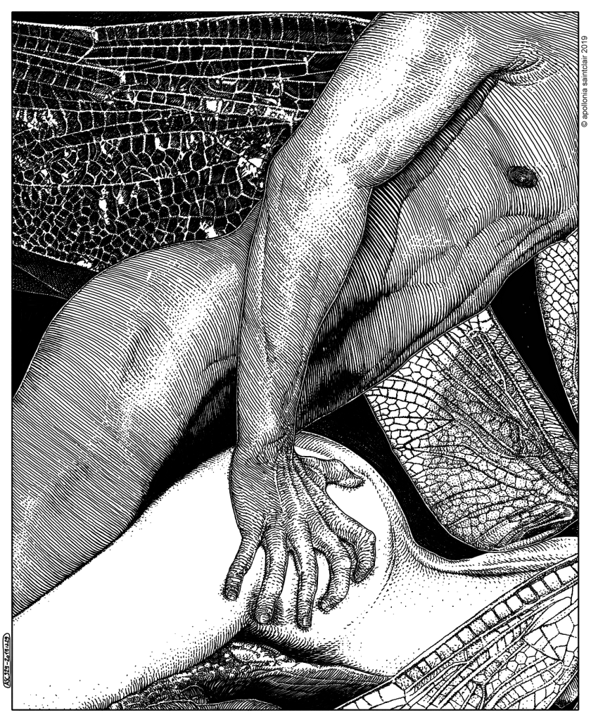 20191229_asc 929_Le démon de l'étrange (Dragonflies dreams)_©