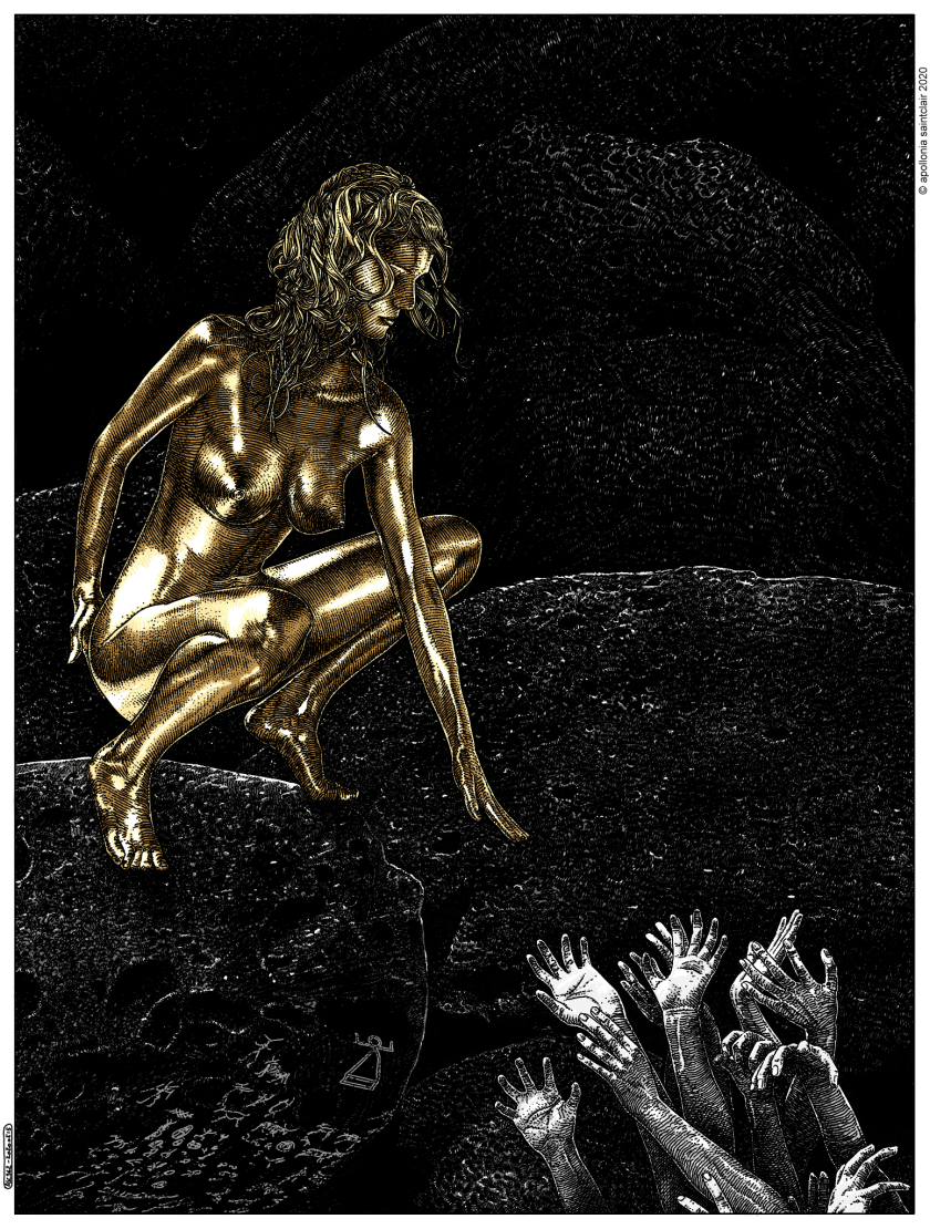 20200515_asc 962_La brillance qui affole (Reaching for the shine)_©